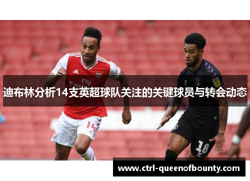迪布林分析14支英超球队关注的关键球员与转会动态